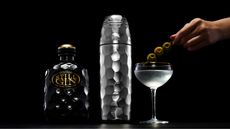 Hammered silver cocktail shaker next to martini glass and black gin bottle