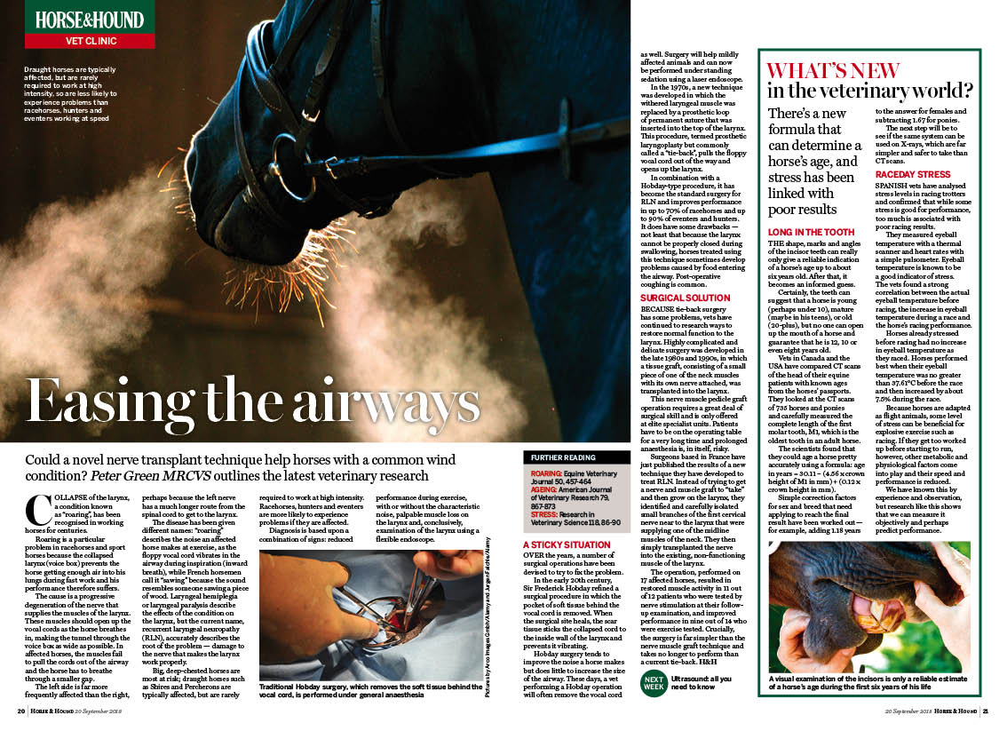 VET-2PP-Vet-News-V2.jpg