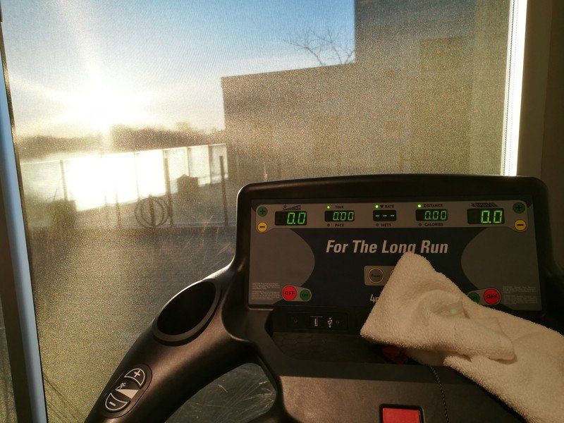 Huawei P9 camera sample - into the sun!