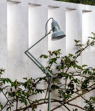 Green lamp against white wall and plants