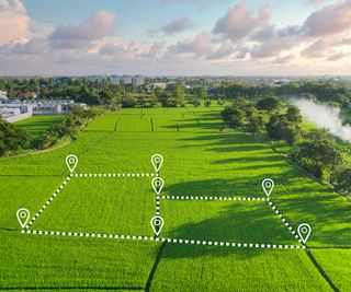 large area of green land with plots marked out in white dots