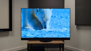 Panasonic Z95A 65-inch MLA OLED TV showing polar bear on screen