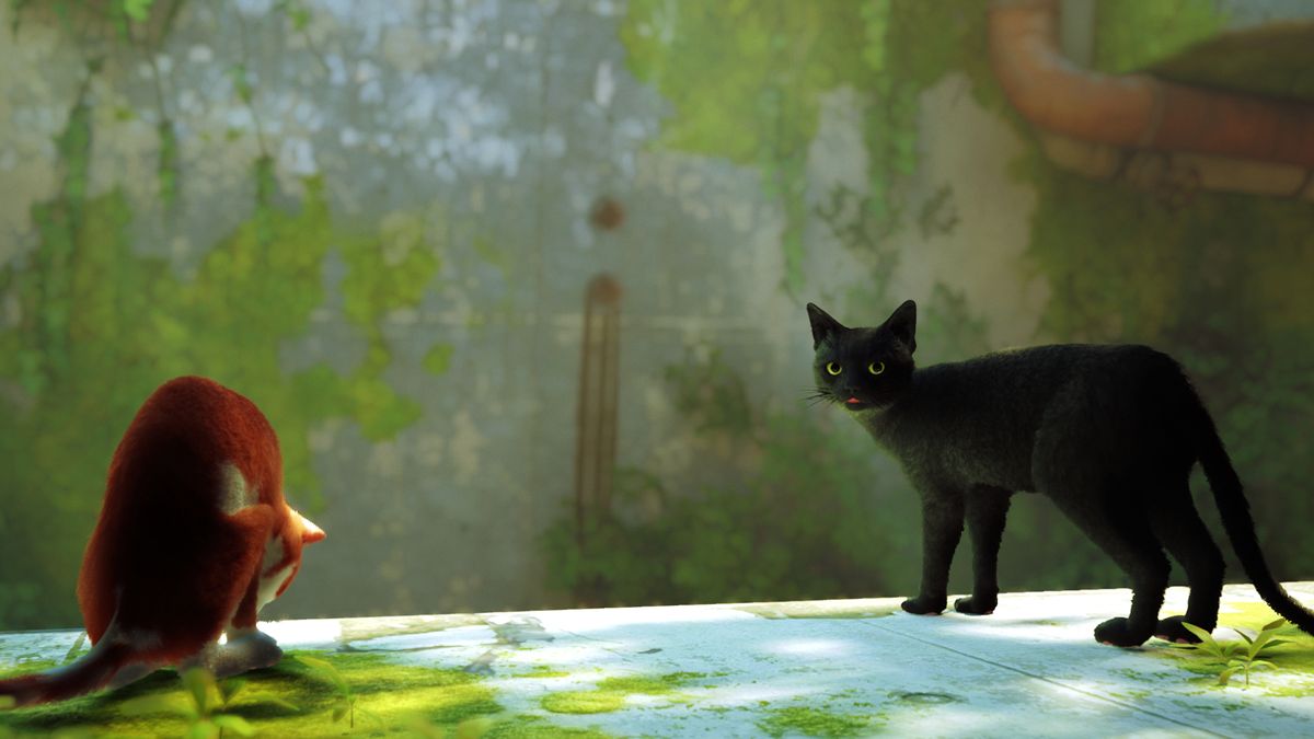 Stray mod lets you control the cat using your actual legs