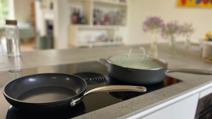 Zyliss Ultimate Pro Pan