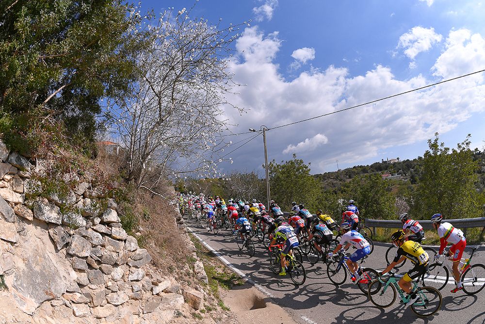 The Algarve peloton in action during stage 5