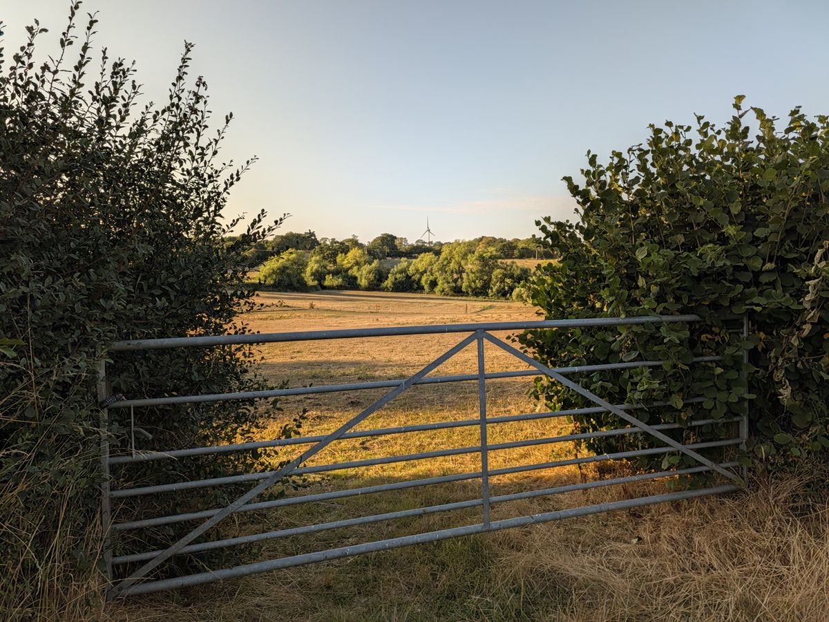 Metal farm gate between hedgerows overlooking dry fields and trees in the countryside at sunset.