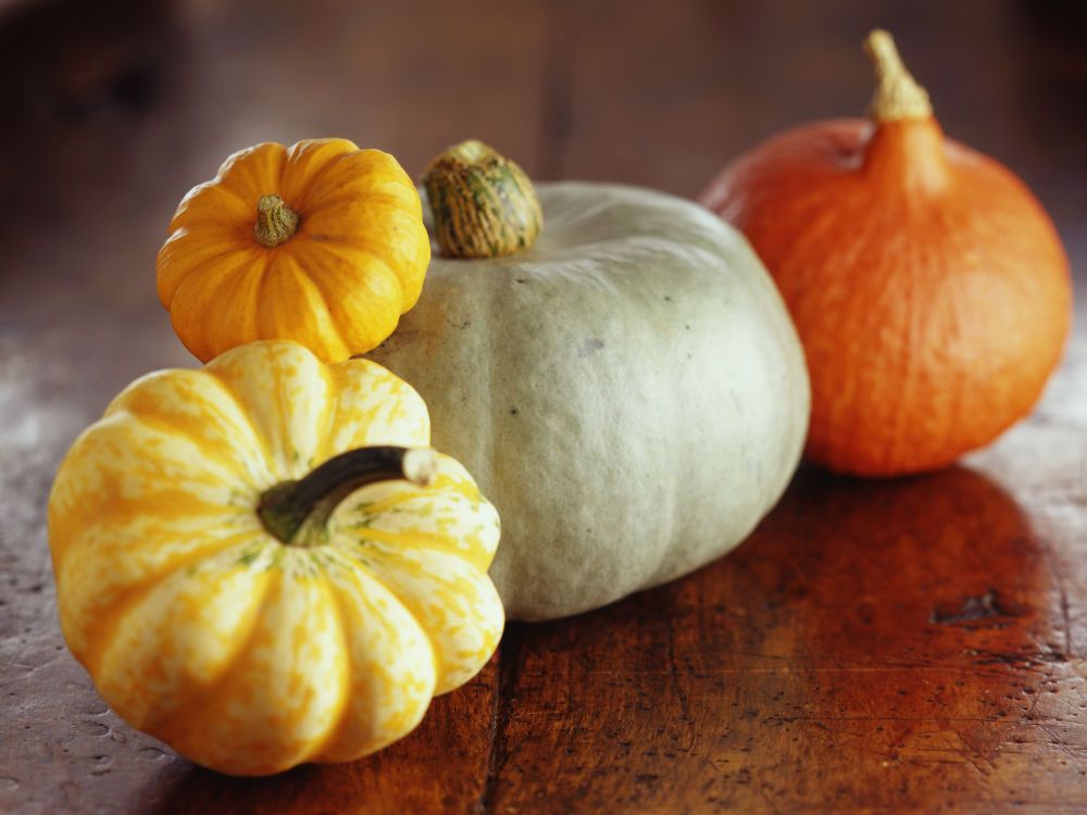 Pumpkin: The New Wonderfood | Marie Claire UK