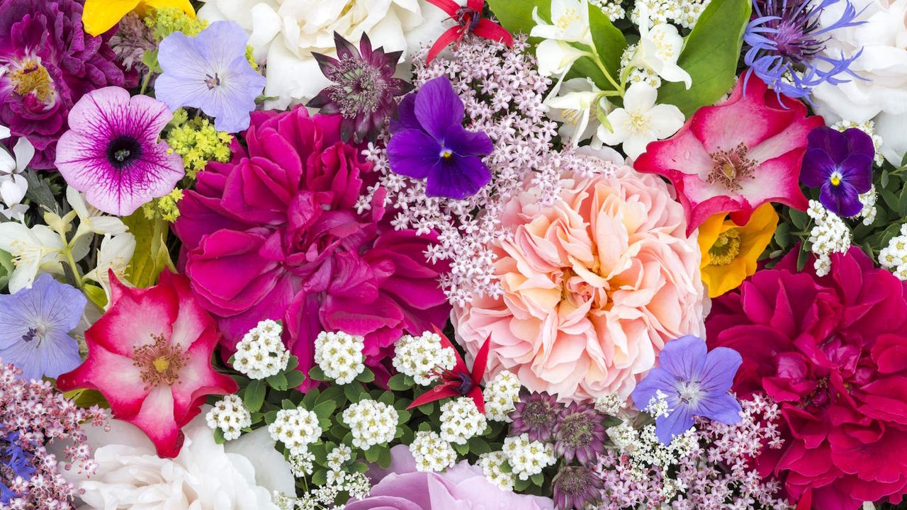 A collection of cut flower blooms laid out on a table