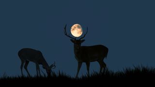 The Buck Moon rises big and bright and Wednesday, July 13.