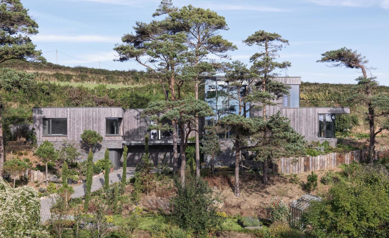 house surrounded by trees