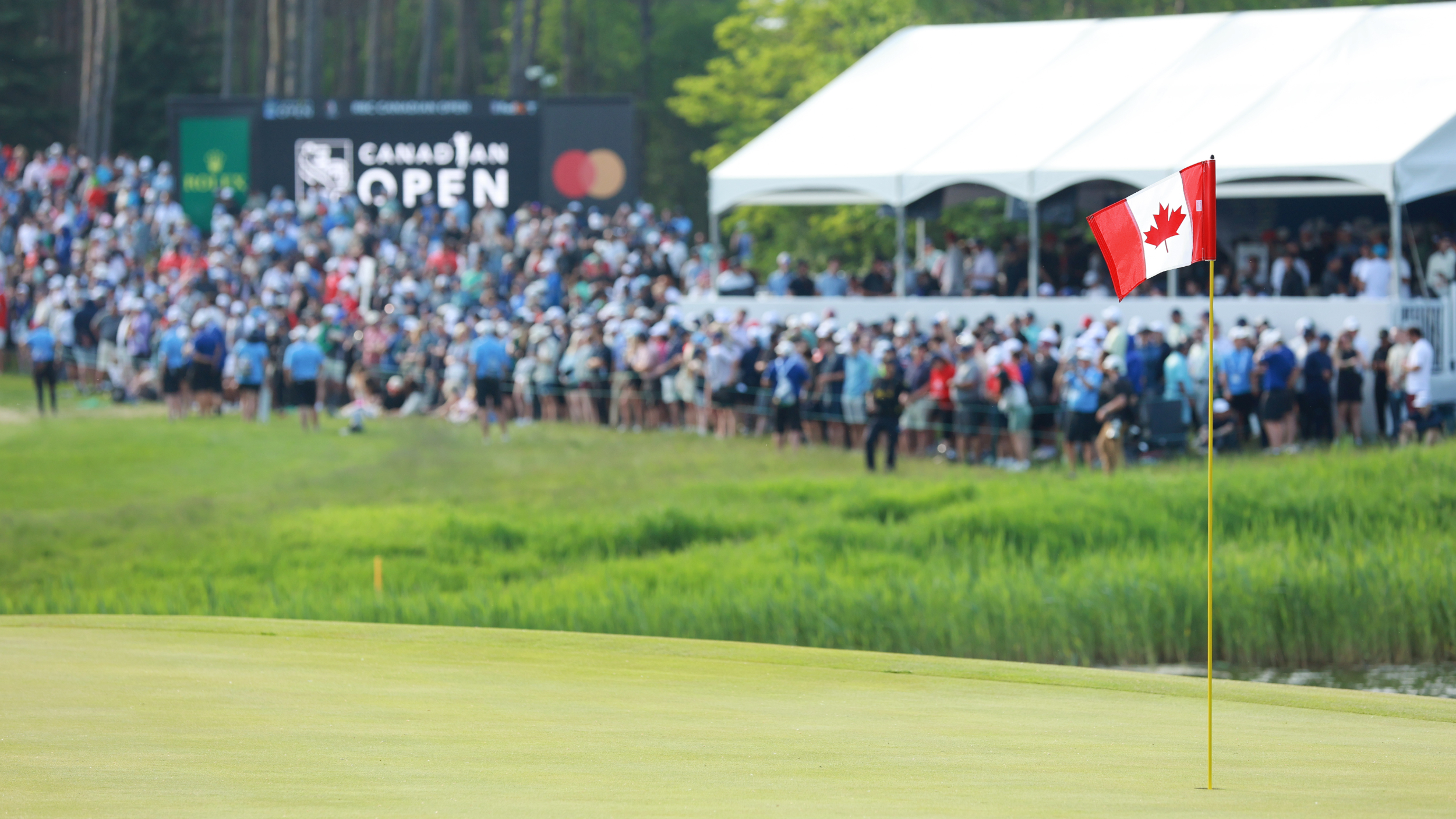 Fans at the RBC Canadian Open