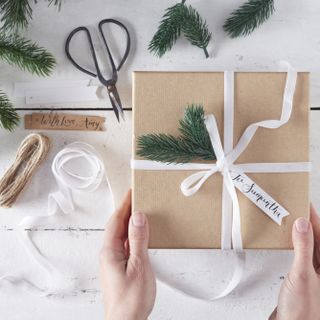 A brown paper package tied together with velvet ribbon by Ginger Ray