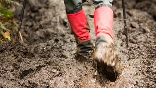 Backpacker walking through mud, West Coast Trail, British Columbia, Canada 