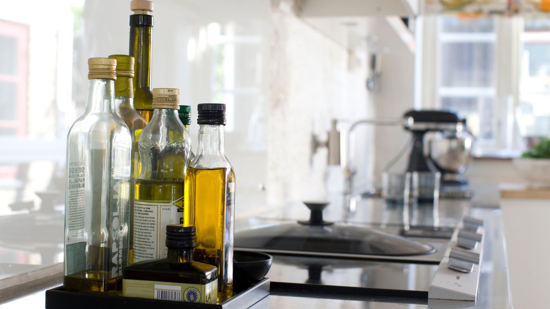 How to clean your plants - Olive oil in a tray on countertop