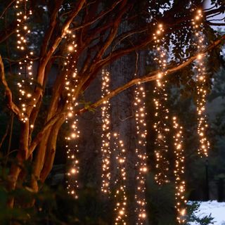 Stargazer twinkling tree cascade lights