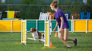 Woman running on agility course with her dog