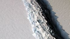 Snapshot of the rift in the Larsen C on Nov. 10, 2016.