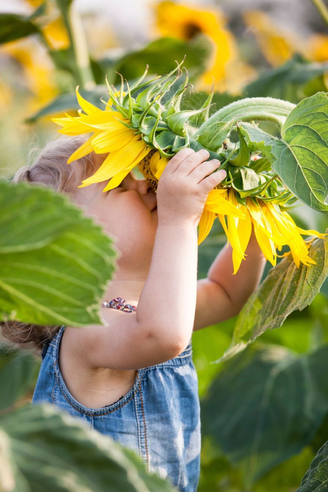 子どものための花のガーデニングのアイデア