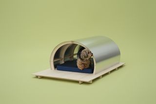 Dog kennel