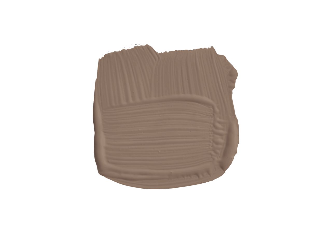 Swatch of a mushroom brown paint sample