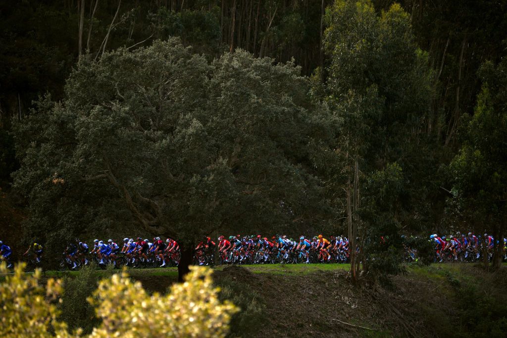 ALTO DA FIA MONCHIQUE PORTUGAL FEBRUARY 20 Peloton Forest Landscape during the 46th Volta ao Algarve 2020 Stage 2 a 1839 km stage from Sagres Vila do Bispo to Alto da Fia 884m Monchique VAlgarve2020 on February 20 2020 in Alto da Fia Monchique Portugal Photo by Tim de WaeleGetty Images