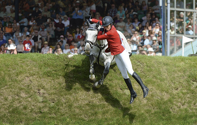LE BEAU Ellen WHITAKER thrills and spills fall falling