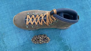 Danner Mountain 600 Leaf GTX hiking boots