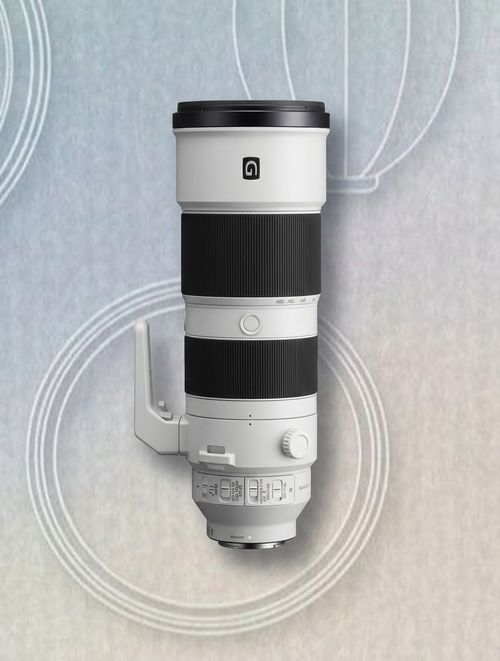 FE 200-600mm F5.6-6.3 G OSS