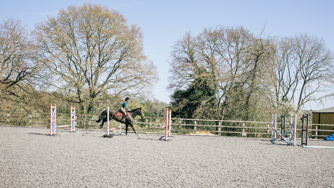 Horse jumping a grid of fences