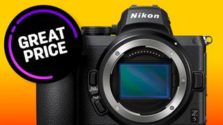 Nikon Z5 on an orange to yellow gradient 