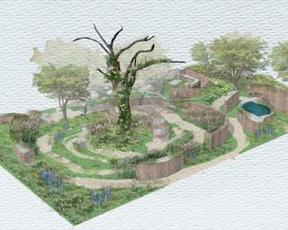 A cad drawing of a woodland garden design layout