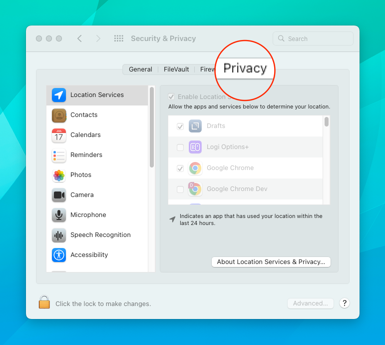 Select Privacy Tab in System Preferences on Mac