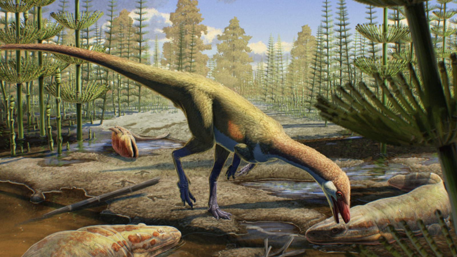 Oldest Known Dinosaur In North America Is A chicken size Raptor And 