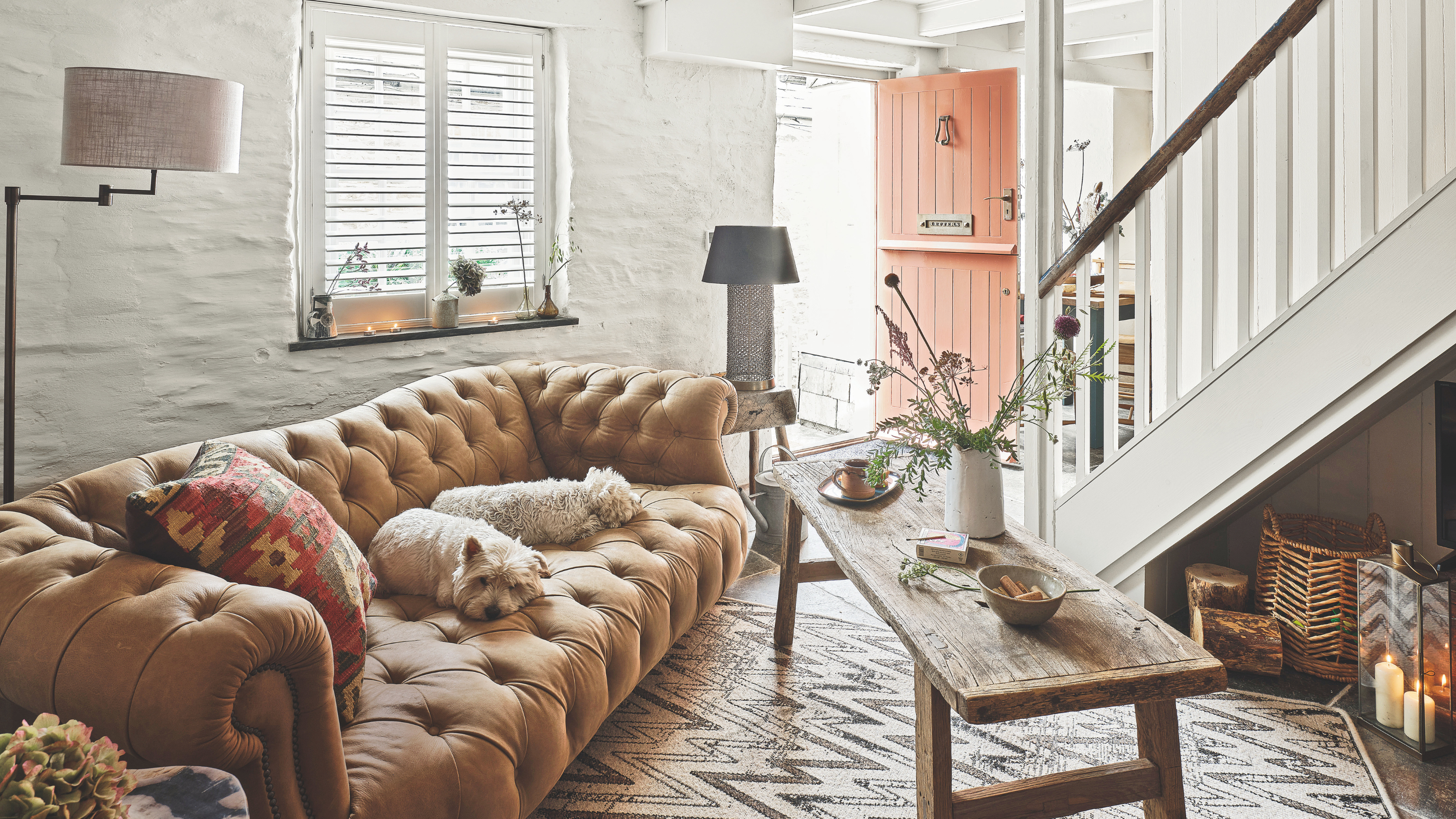 Two small, white dogs sitting on a brown sofa in a cottage living room.