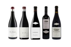 Alvaro Palacios 2020