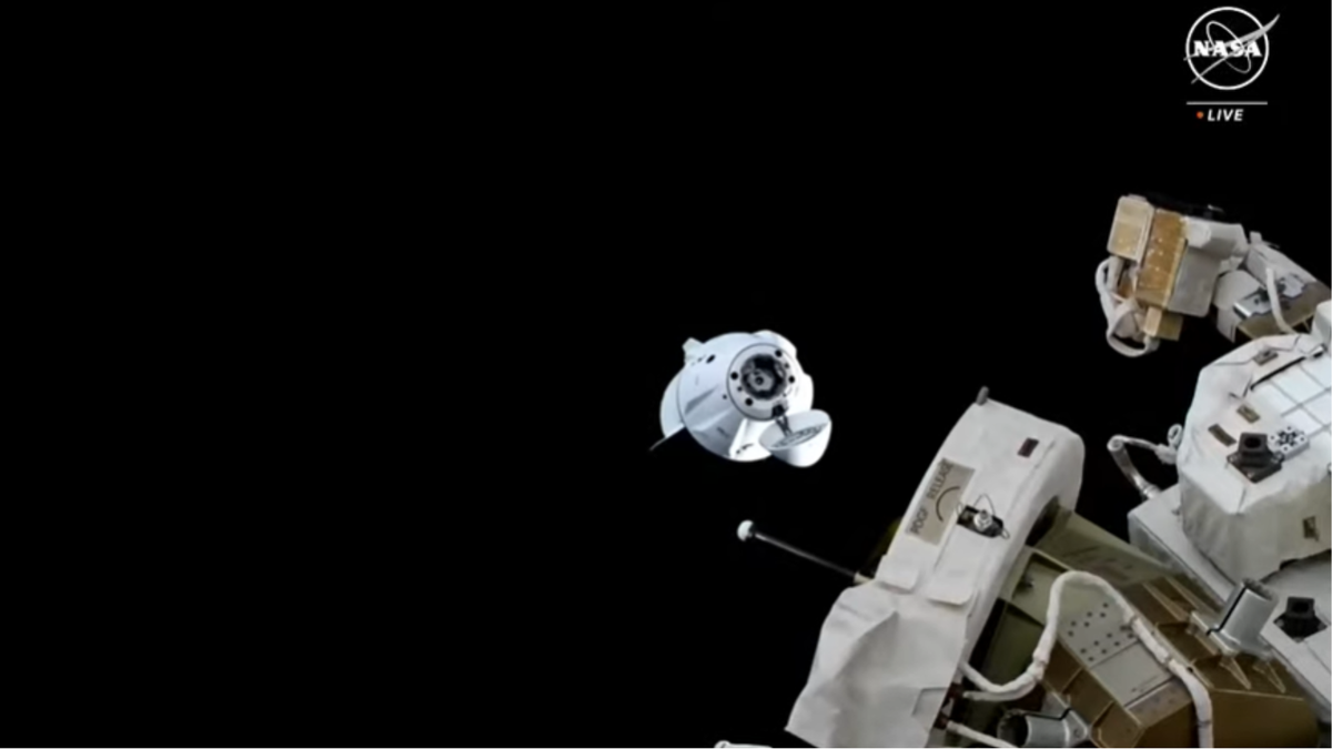 Veja os astronautas da SpaceX Crew-8 manobrando seu dragão a bordo da ISS em 2 de maio