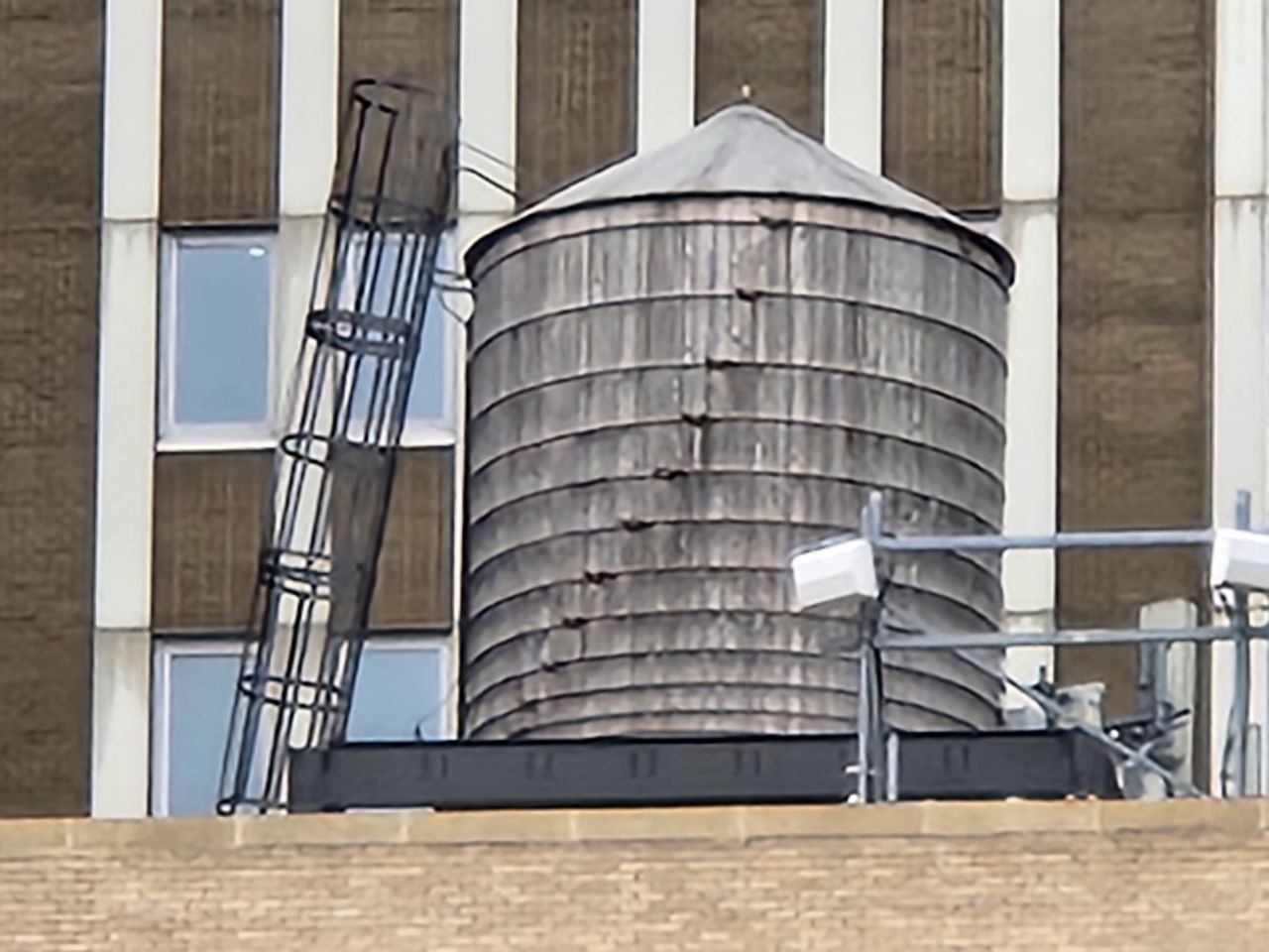 Samsung Galaxy Z Fold 4 zoom sample.