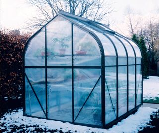 Greenhouse in snow lined with bubble wrap insulation