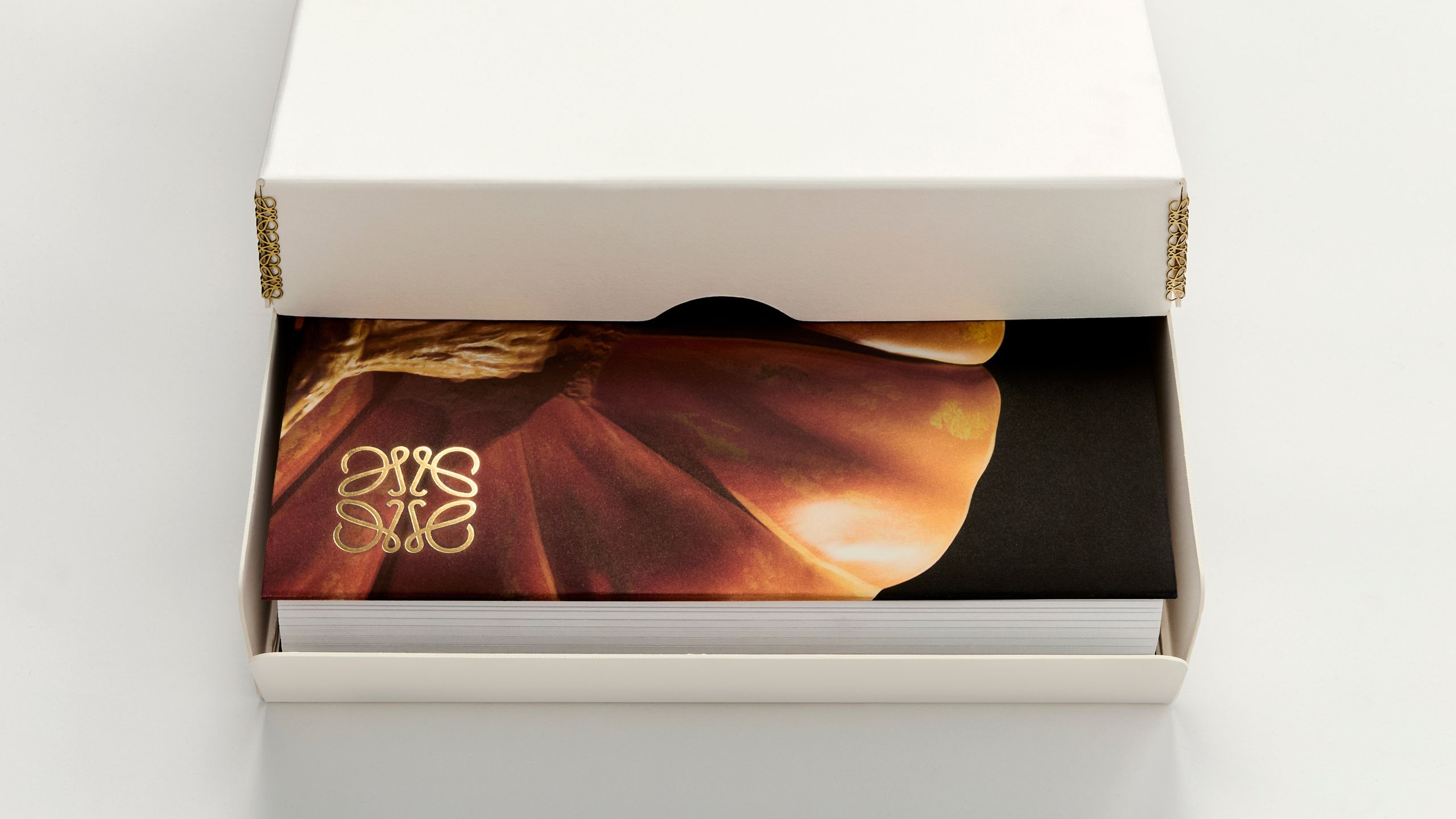 These 2025 fashion books are the perfect gift for style fans