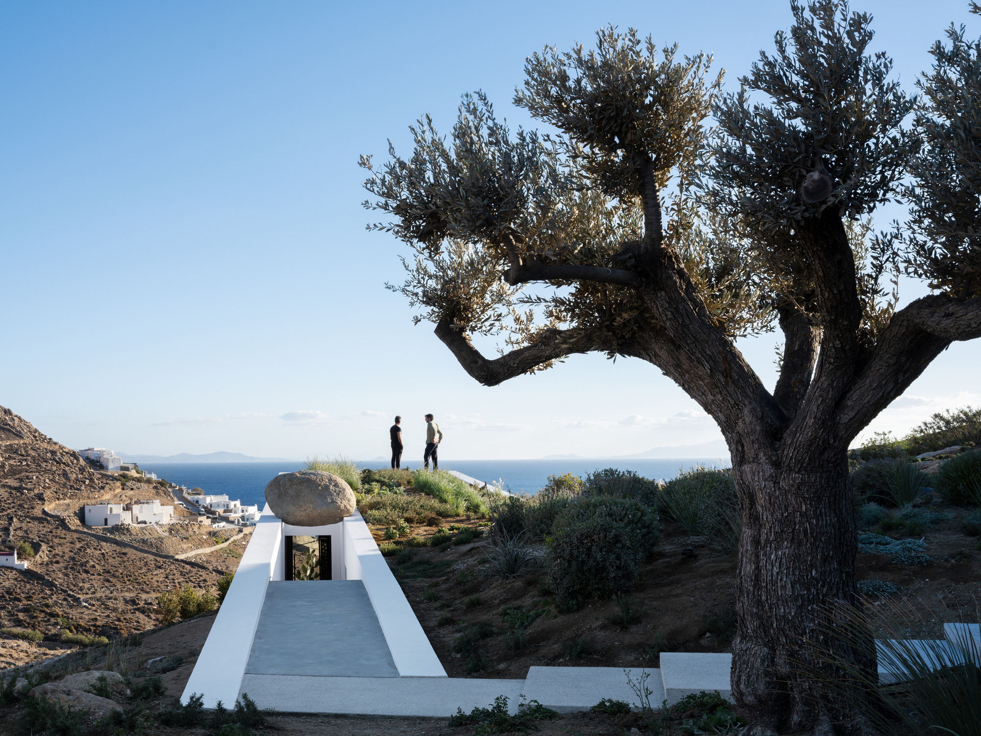 coastal property rooftop garden with large tree and view of coastal, two people standing on the rooftop