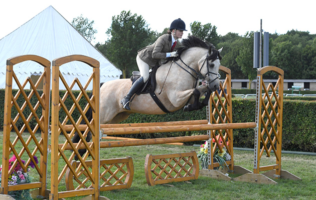 Lincolnshire Lincs county show 20 06 2018