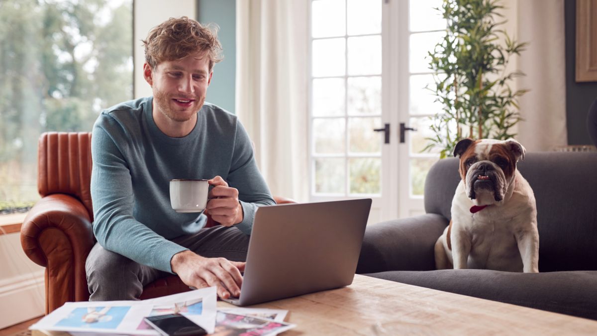 man working from home with his bulldog