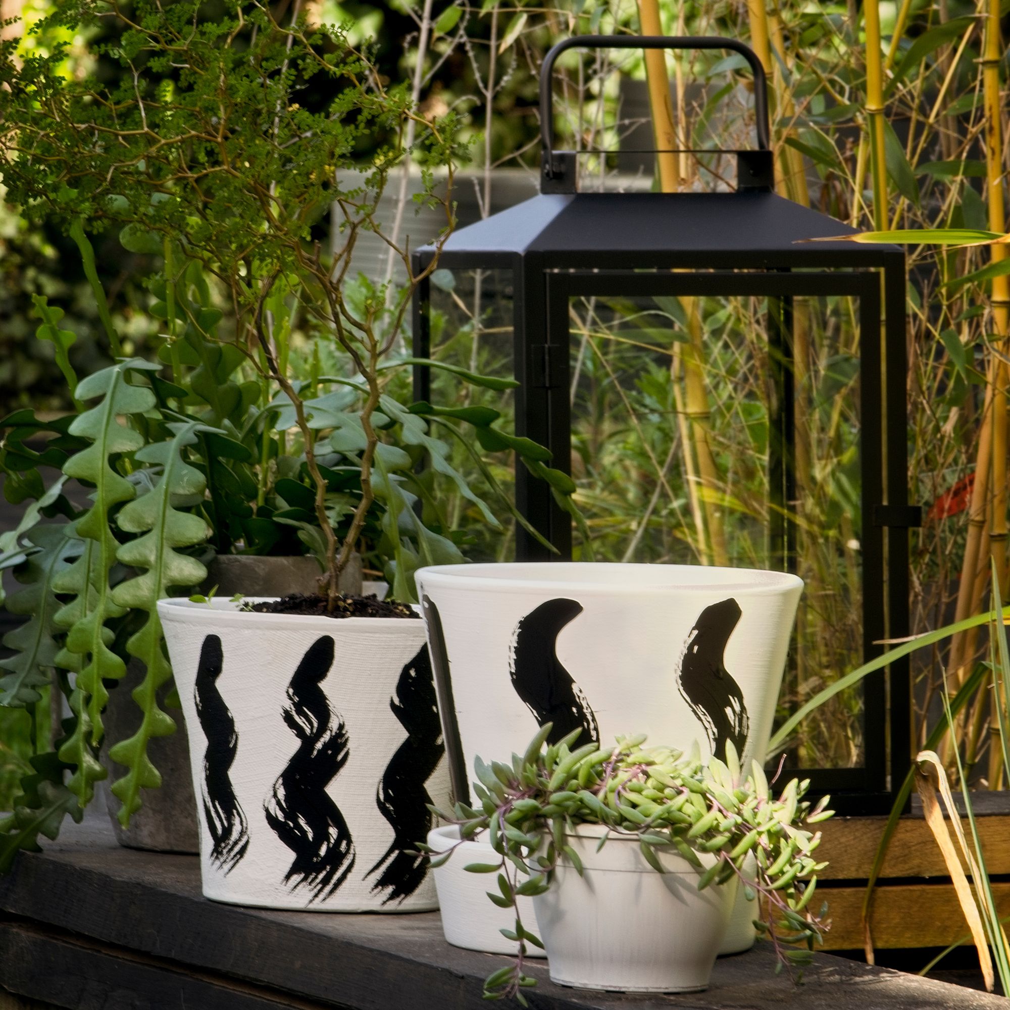Small, white and black patterned plant pots next to a black lantern in a garden