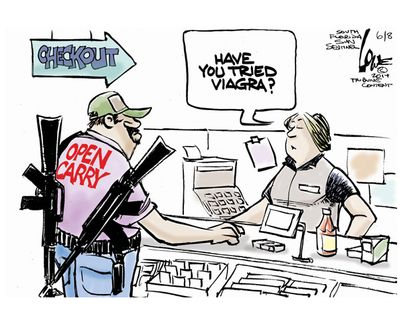 Political cartoon gun rights