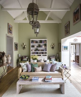 Green living room with large shelf
