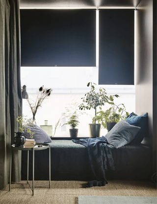 Dark roller blind in living room corner with seater bench, sage green side table and mixture of houseplants and dried flowers