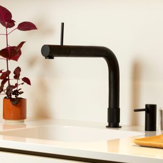 Matte black boiling water tap on white sink next to red plant