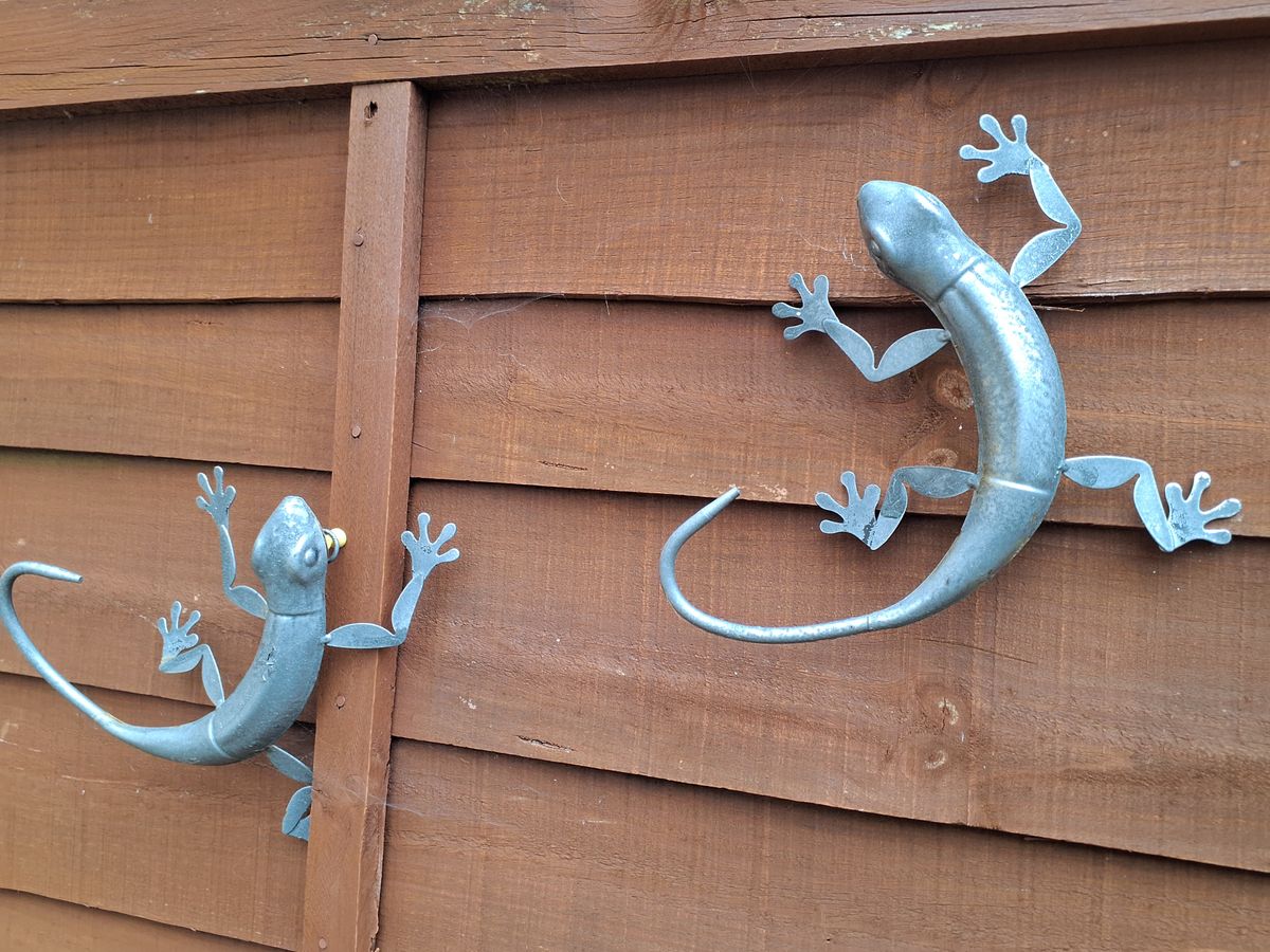 Example images from Samsung Galaxy Tab Active5