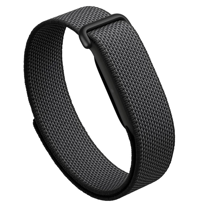 Google Fitbit Air
