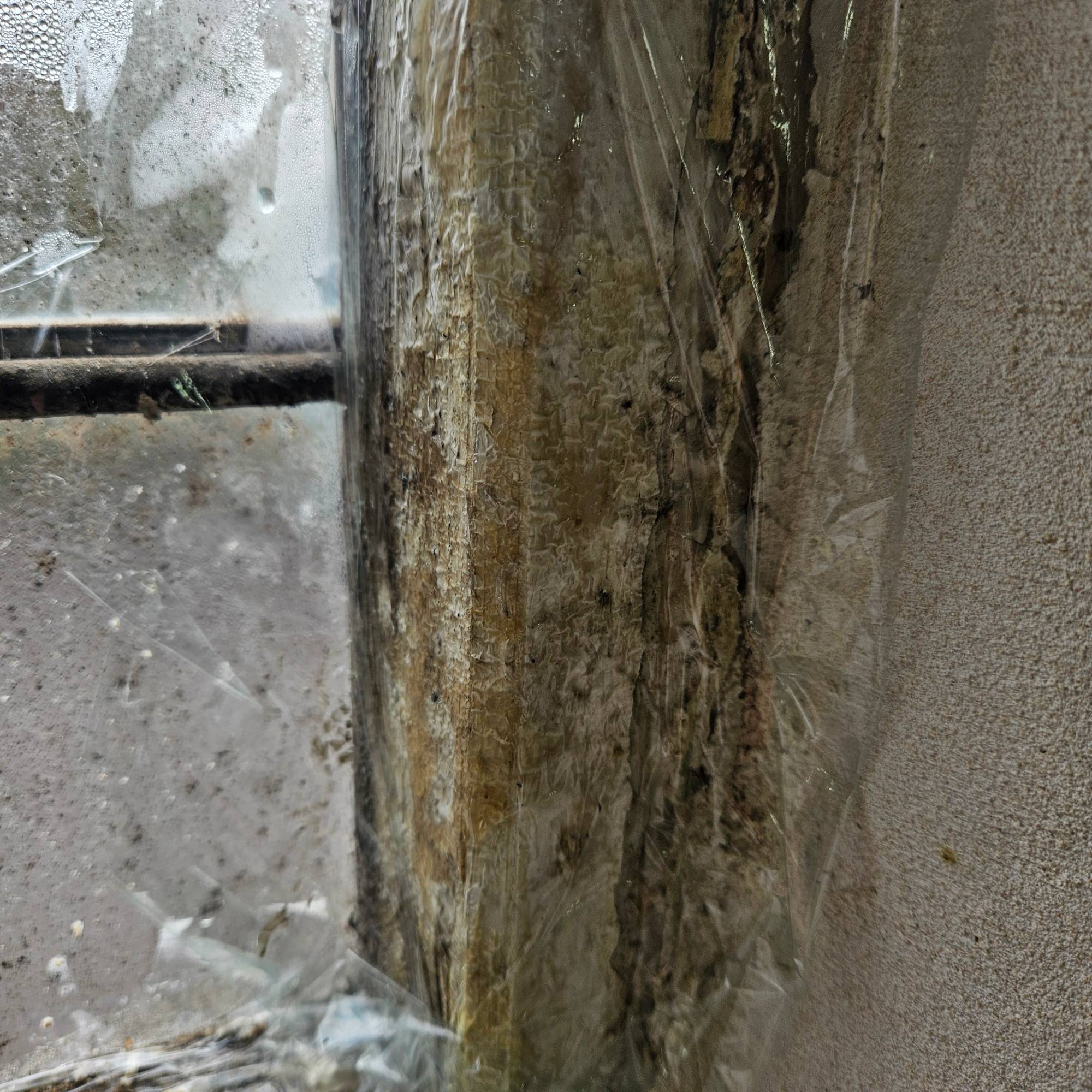 paint stripper peeling paint on white window